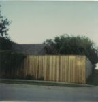 7'  privacy batten fence.